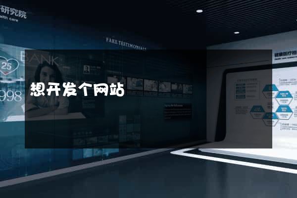 想开发个网站