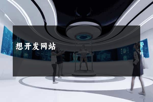 想开发网站
