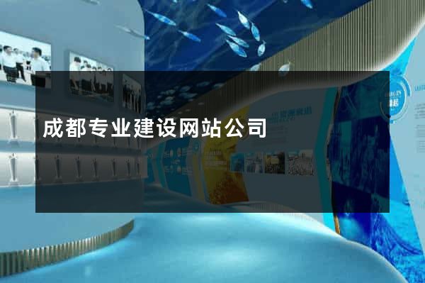 成都专业建设网站公司