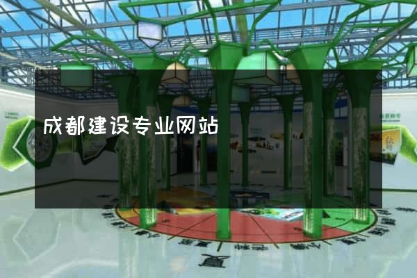 成都建设专业网站