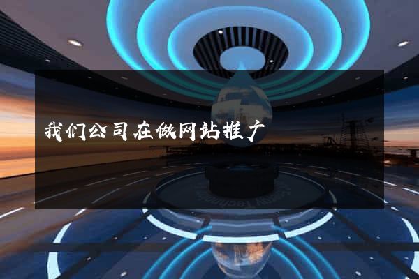 我们公司在做网站推广