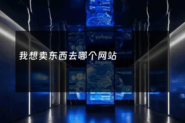 我想卖东西去哪个网站