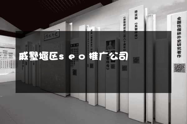 戚墅堰区seo推广公司