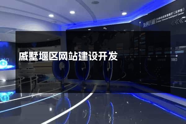 戚墅堰区网站建设开发