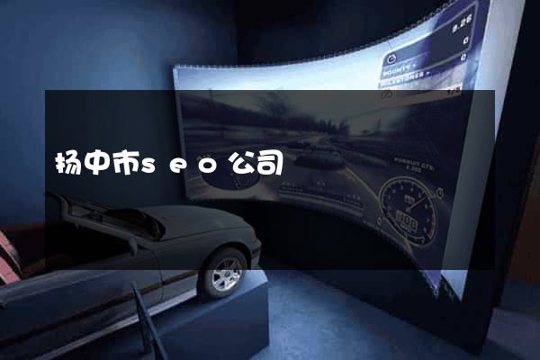 扬中市seo公司
