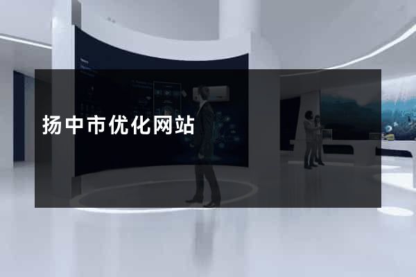 扬中市优化网站