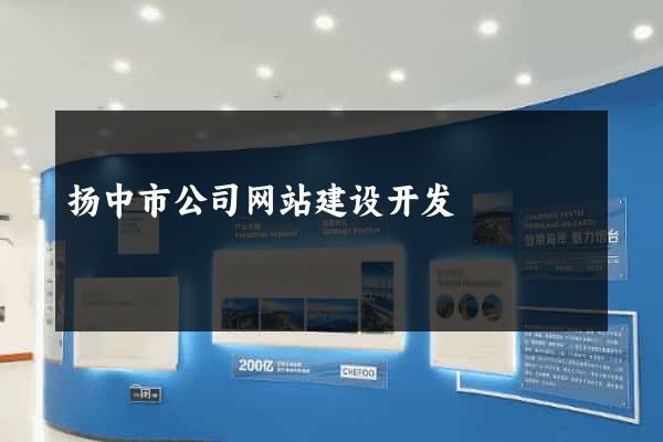 扬中市公司网站建设开发