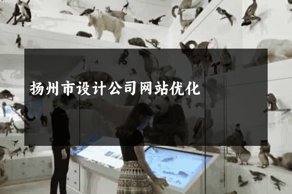 扬州市设计公司网站优化