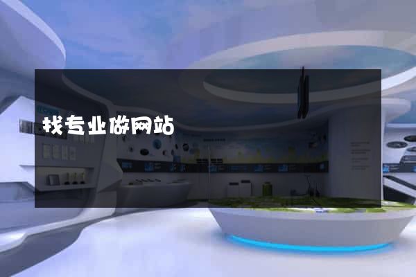 找专业做网站