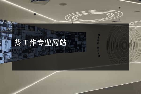 找工作专业网站
