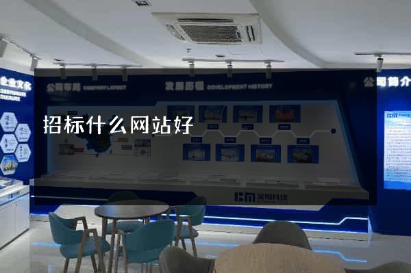 招标什么网站好