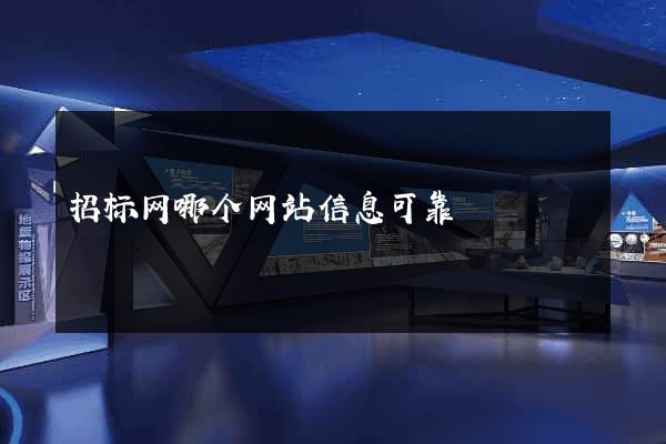 招标网哪个网站信息可靠