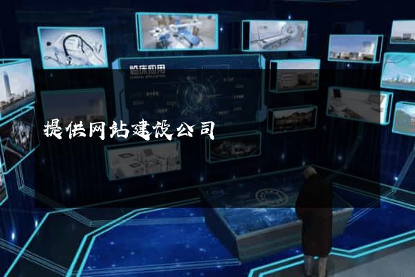 提供网站建设公司