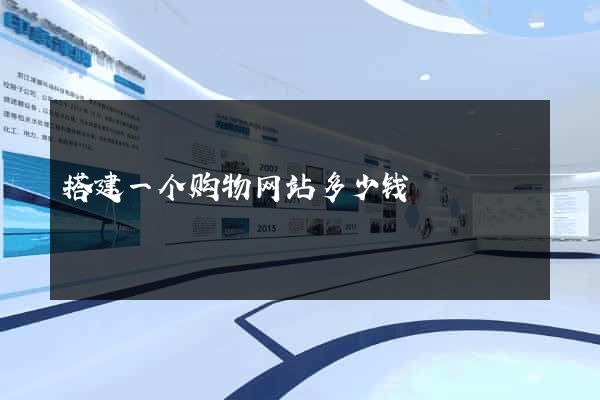 搭建一个购物网站多少钱