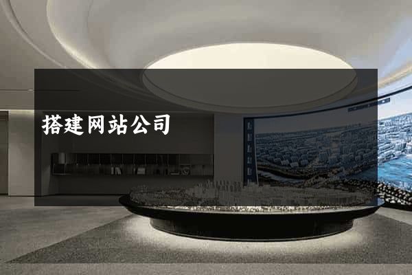 搭建网站公司