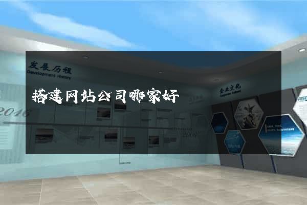 搭建网站公司哪家好