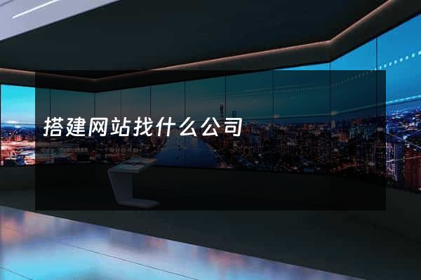 搭建网站找什么公司
