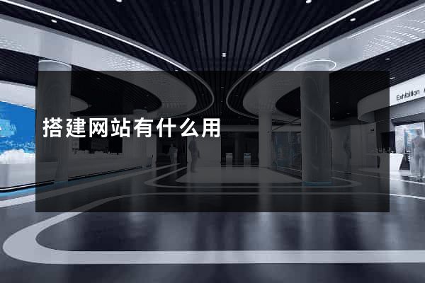搭建网站有什么用