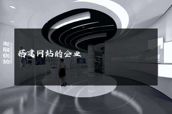 搭建网站的企业