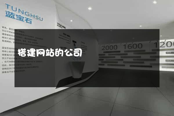 搭建网站的公司