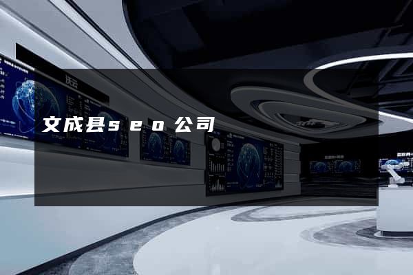 文成县seo公司