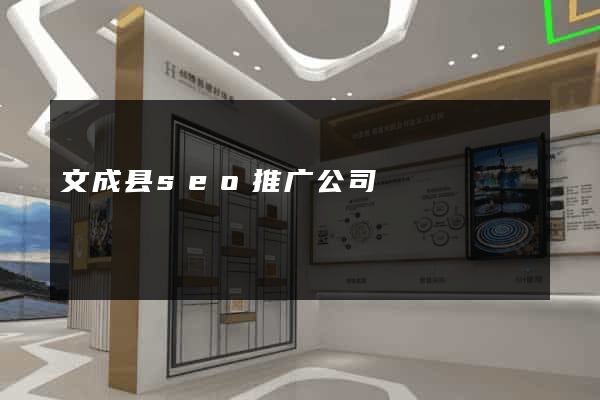 文成县seo推广公司