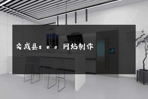 文成县seo网站制作