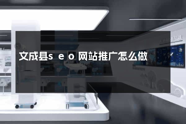 文成县seo网站推广怎么做