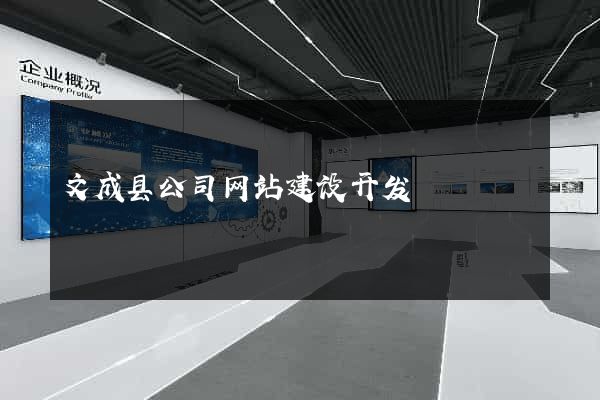 文成县公司网站建设开发