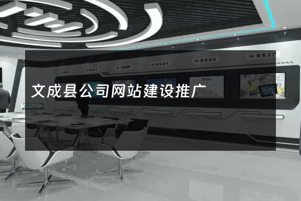 文成县公司网站建设推广