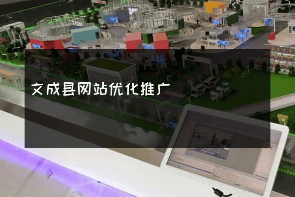 文成县网站优化推广