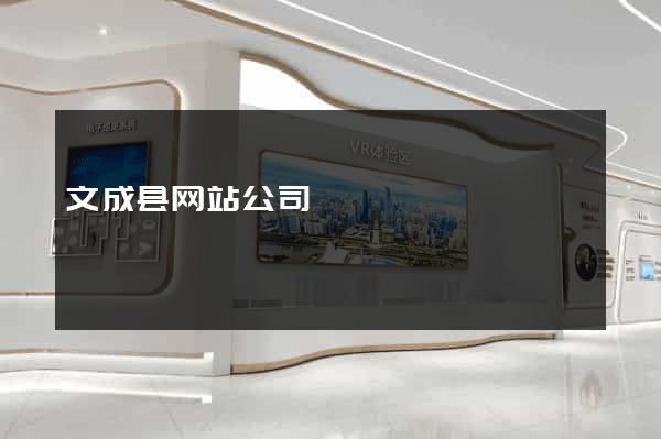 文成县网站公司
