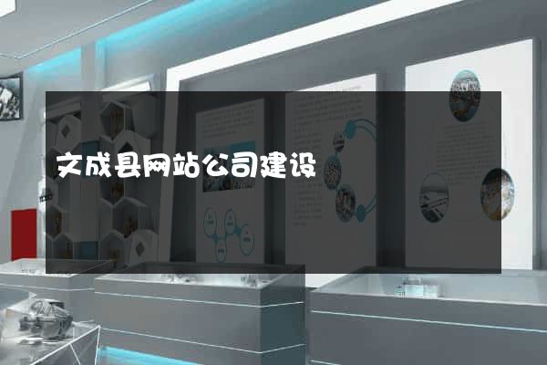 文成县网站公司建设