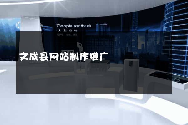 文成县网站制作推广