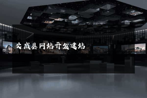 文成县网站开发建站