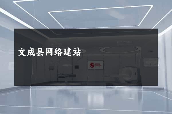 文成县网络建站