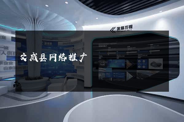 文成县网络推广