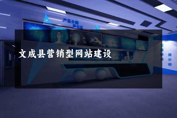 文成县营销型网站建设