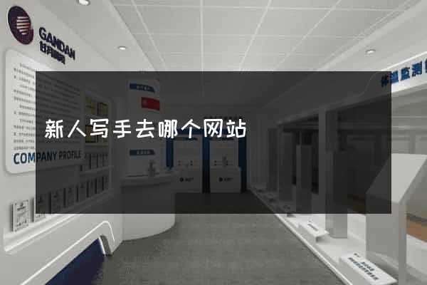 新人写手去哪个网站