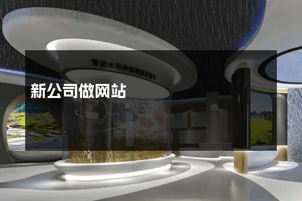 新公司做网站