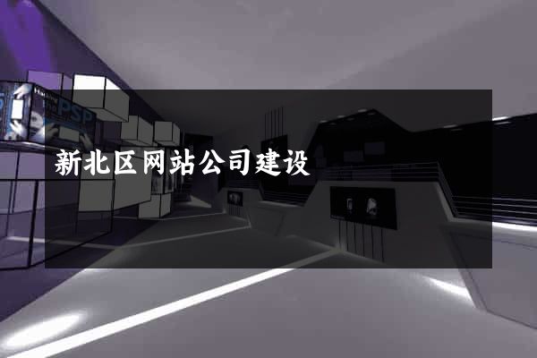 新北区网站公司建设