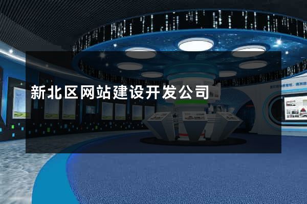 新北区网站建设开发公司