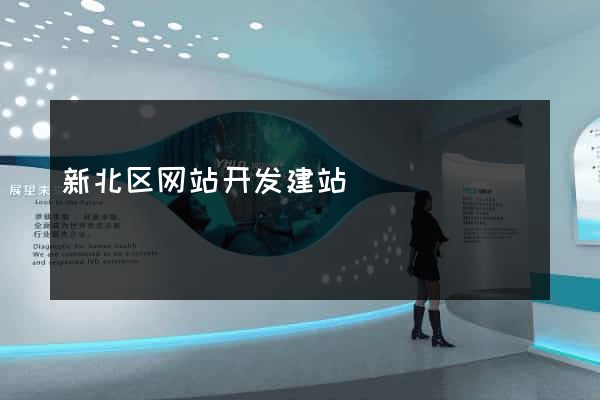 新北区网站开发建站