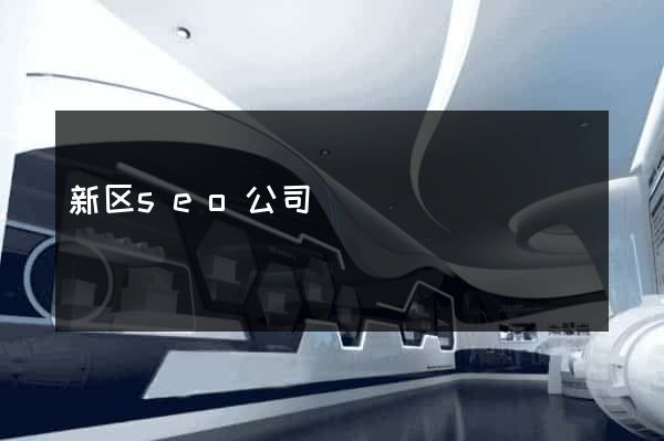 新区seo公司