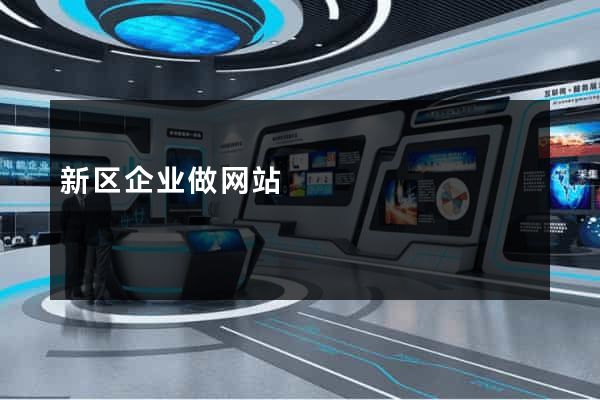 新区企业做网站