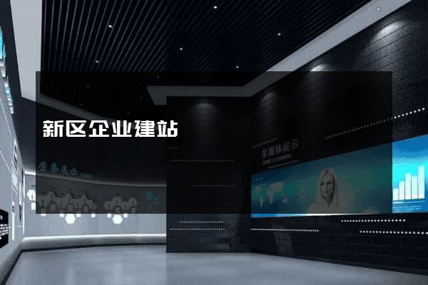新区企业建站