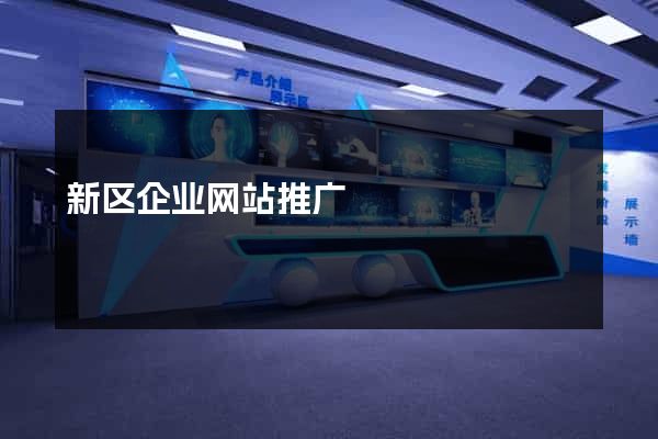新区企业网站推广
