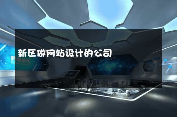 新区做网站设计的公司