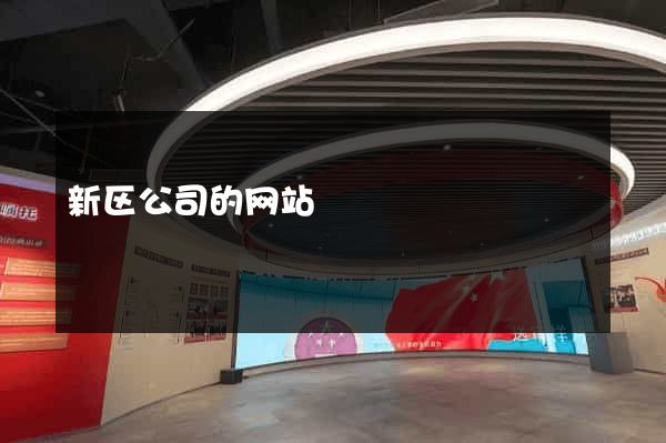 新区公司的网站
