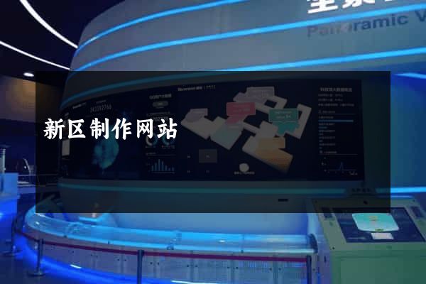 新区制作网站